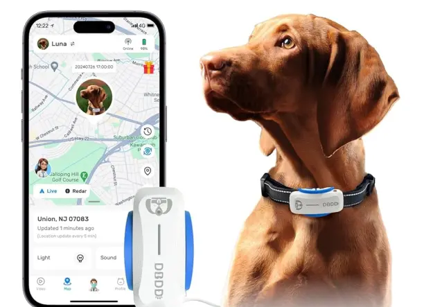 Nyomkövető Nyakörv