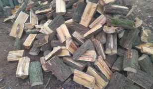 Akác tűzifa eladó kis és nagy tételben