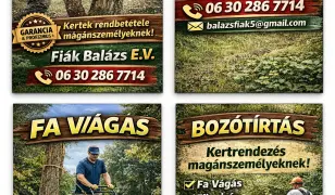 Fakivágás veszélyes fa kivágás fűnyírás