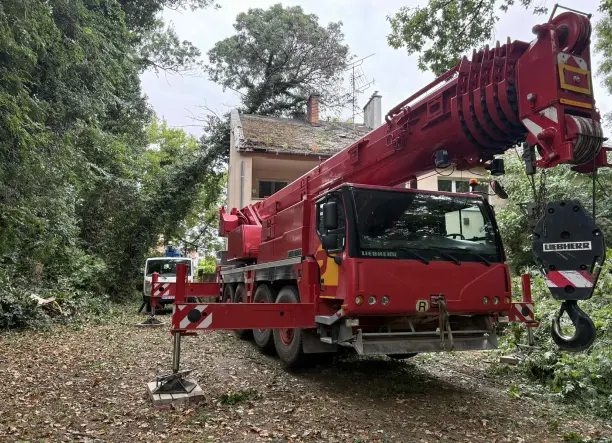 Fakivágás - faápolás