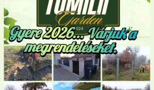 Kerítés építés, Fűnyírás,