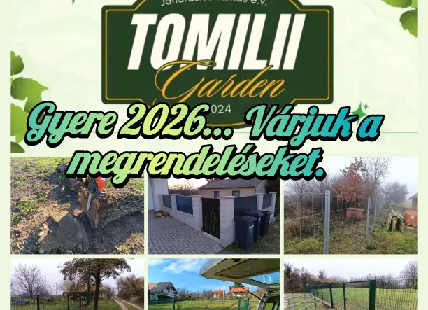 Kerítés építés, Fűnyírás,