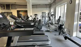 Dzsungel Fitness – Személyi edzés és tanácsadás