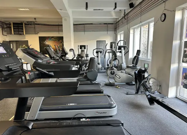 Dzsungel Fitness – Személyi edzés és tanácsadás