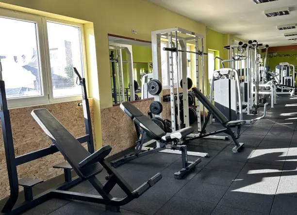 Dzsungel Fitness – Személyi edzés és tanácsadás