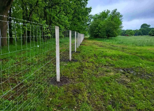 Kerítésépítés országosan! Drótkerítés, drótfonat, drótháló, vadháló, táblás kerítés