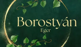 🍔 Borostyán Eger – A legjobb gyors hamburgerélmény a város szívében! 🍟