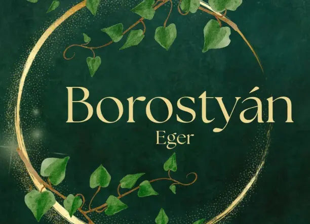 🍔 Borostyán Eger – A legjobb gyors hamburgerélmény a város szívében! 🍟