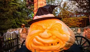 1 napos buszos utazás az ausztriai Familyparkba Halloween alkalmából és a Hauswirth csokigyár mintaboltjába, csoportkísérővel