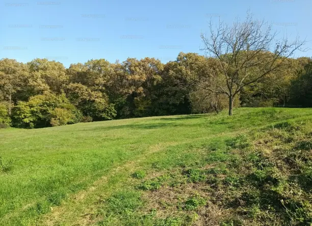 Tanya eladó a szlovák határhoz közel