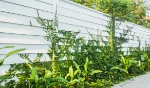 „Gondozásmentes kerítések és veszélyes favágás szakértőktől”