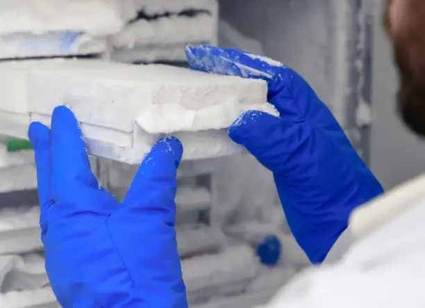 „Szárazépítés, szigetelés, festés – megbízható kivitelező azonnal!”