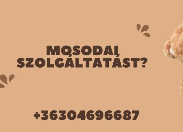 Mosodai szolgáltatás háztól, házig