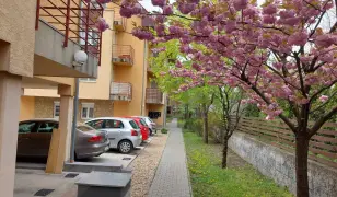 ELADÓ 102 NM LAKÁS A MÍNUSZ 1 SZINTEN