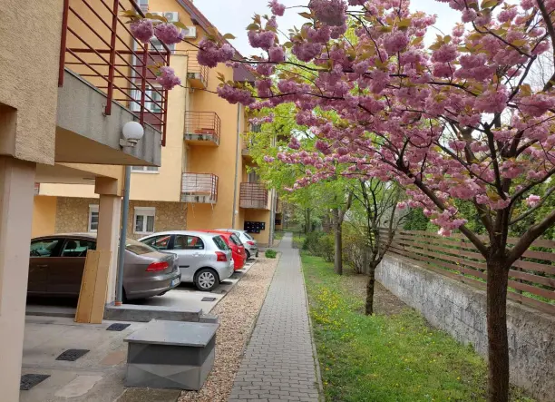 ELADÓ 102 NM LAKÁS A MÍNUSZ 1 SZINTEN