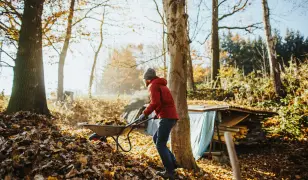 Telektisztítás, tereprendezés, kerti munkák – komplett megoldás
