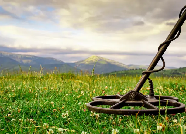 Telektisztítás, tereprendezés, kerti munkák – komplett megoldás