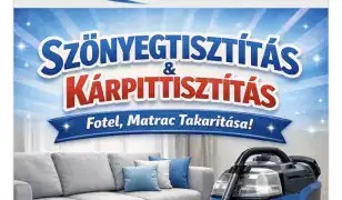 Szőnyeg és kárpittisztítás