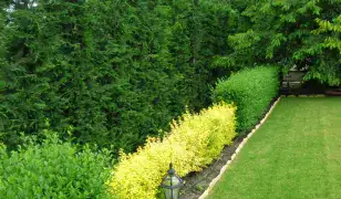 Kertrendezés, kertépítés