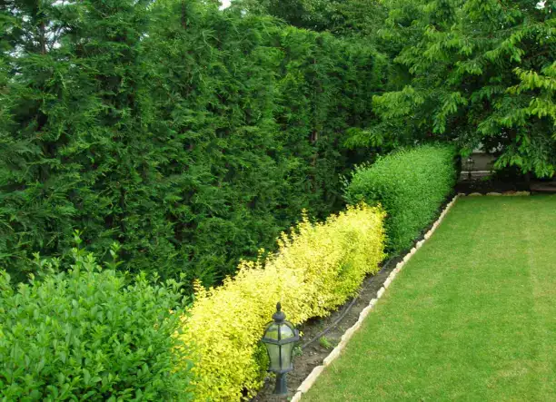 Kertrendezés, kertépítés