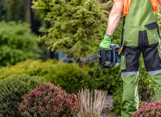 Teljeskörű kertmegoldások minden stílushoz!