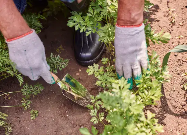 Asztalos munkát vállalok – 10 éves tapasztalattal!