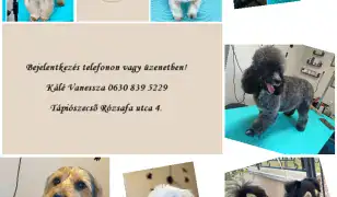 Csillogó Mancsok Kutyakozmetika Tápiószecső