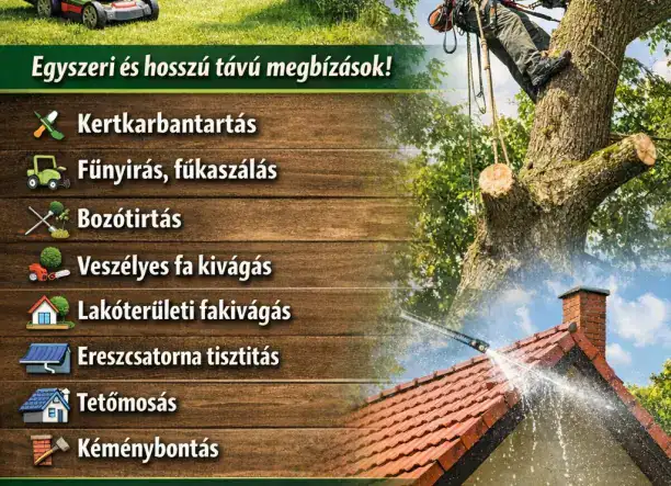 veszélyes fa kivágás lakotterületi fa kivágás
