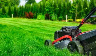 Kertek felmérése kivitelezése