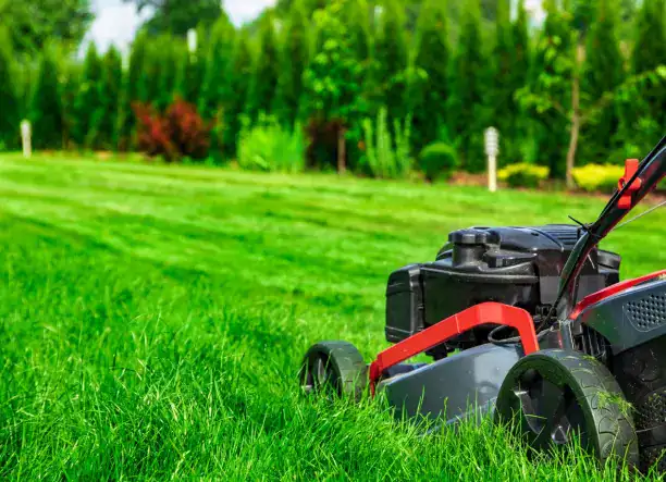 Kertek felmérése kivitelezése