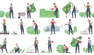 Új kertek teljes körű kivitelezése