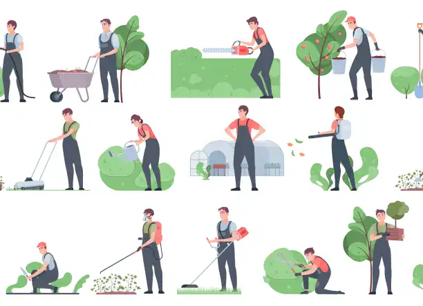 Új kertek teljes körű kivitelezése