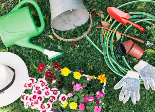 Új kertek teljes körű kivitelezése