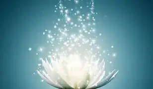 Masszázs, Köpölyözés,Egyénre szabott kezelés