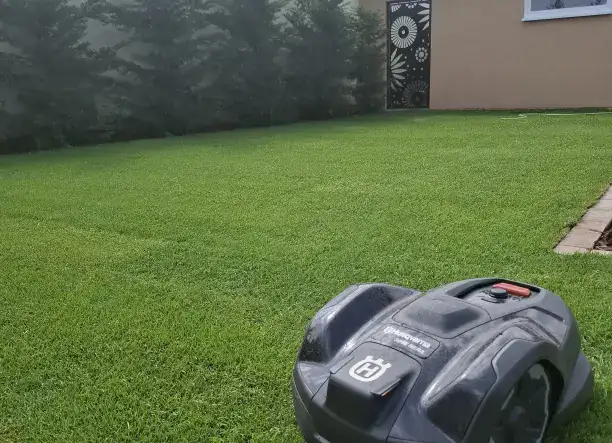 VerdeLine - kertépítés, fenntartás