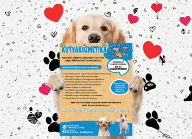 Grafikai tervezés és webdesign – egy kézben, emberi hangon.