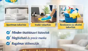 Balatoni takarítás