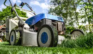 Zöldterület kezelés, kertèszeti munka