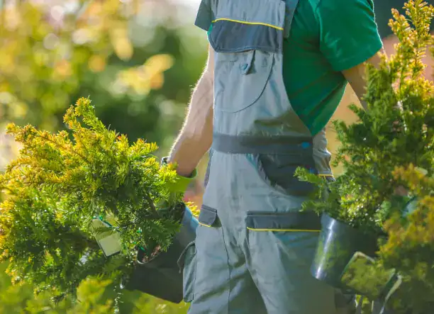 Rendezett kert, gondozott zöldterület – Sopron és környéke!