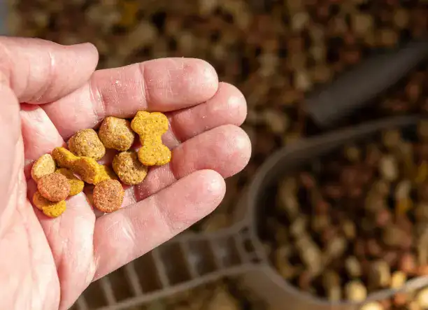 Varga Gabona – minőségi takarmány kisállatoknak, galambászoknak és horgászoknak!