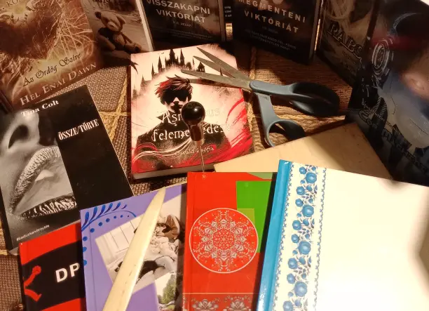 Kedvező áru könyvkészítés kortárs íróknak