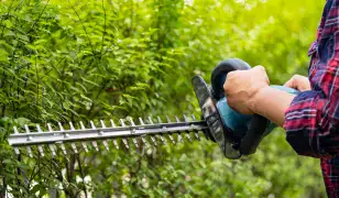 Teljes körű kerti munkák és karbantartás!