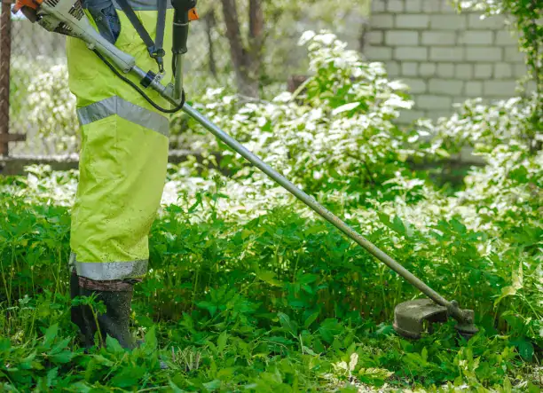Teljes körű kerti munkák és karbantartás!