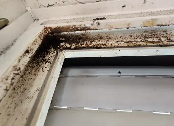 Salamon Clean – Tiszta otthon, könnyedén!