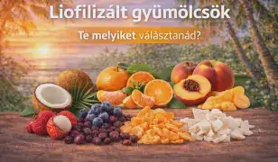 💚 A Dedra világa – ahol a minőség és a praktikum találkozik.