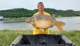 Fűtésszerelés, kazánszerelés, konvektor szerelés, mindenfajta gázkészülékszerelés, .fűtésrendszer kiépítés/szervíz
