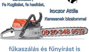 Favágás vállalok!!