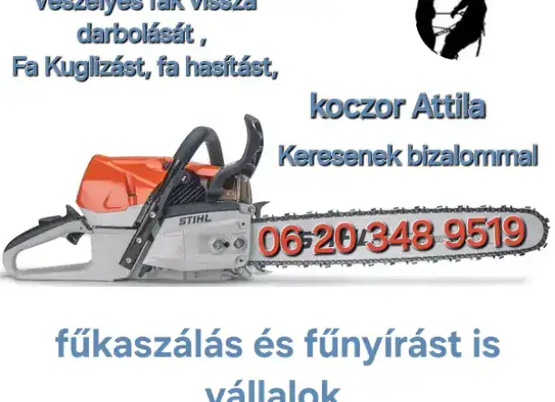 Favágás vállalok!!