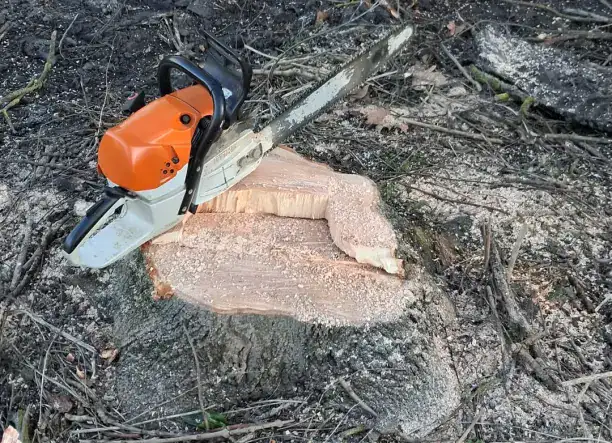 Favágás vállalok!!