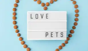 Kedvencek – biléta gravír, ami valóban személyre szabott!